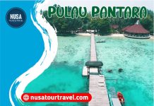 Pulau Pantara Resort Paket Wisata di Pulau Pantara