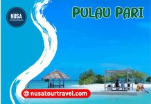 PAKET WISATA PULAU PARI Paket Wisata Pulau Pari