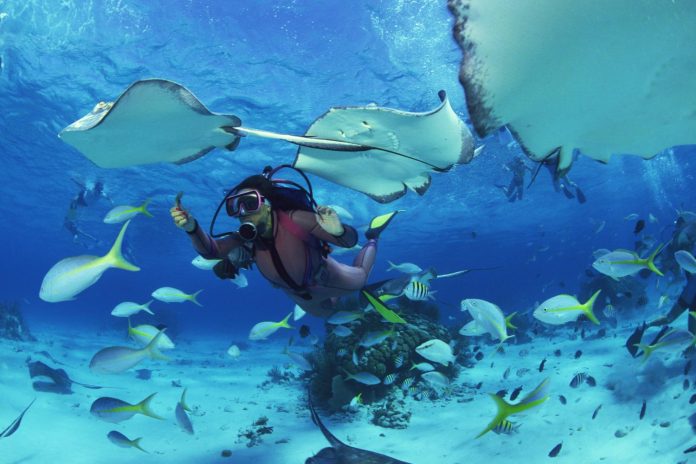 Spot Snorkeling Seru di Pulau Seribu yang Sayang Dilewatkan