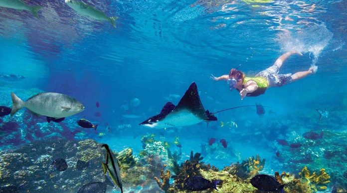 Pilihan Destinasi Wisata Snorkeling di Pulau Seribu untuk Liburan Anda