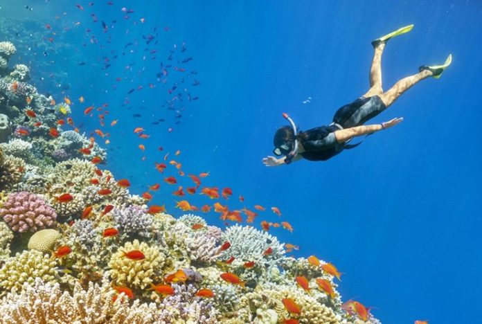 Simak Tips Ini Saat Wisata Snorkeling di Pulau Seribu