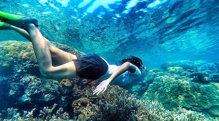 Tips Aman Melihat Keindahan Bawah Laut dengan Snorkeling