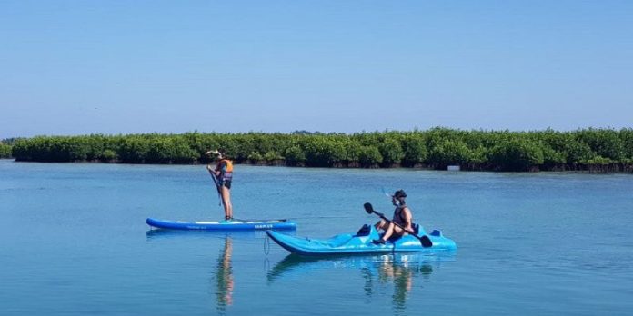 5 Alasan Mengapa Canoe akan Memikat Anda